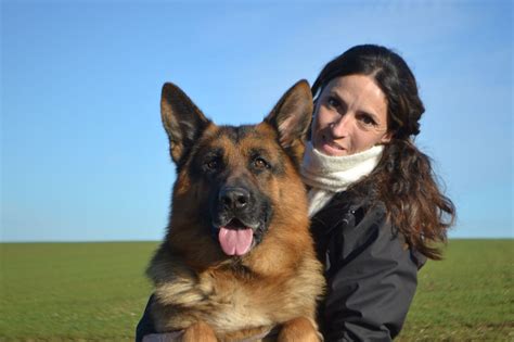 Chien Elevage Des L Gendaires Nahauri Eleveur Berger Allemand