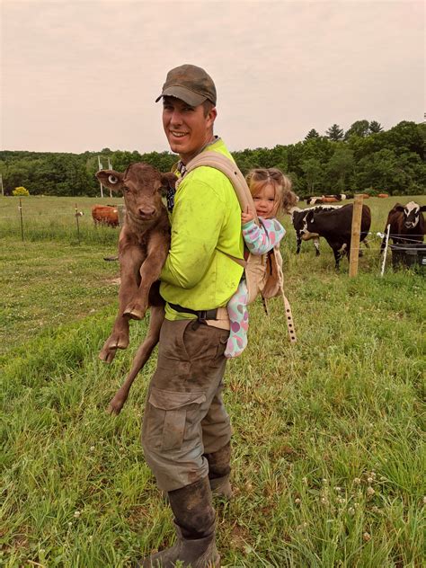 Grass Fed Beef Delivered From Local Farms Near Toledo Oh