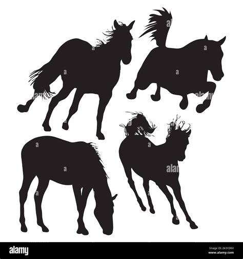 Silhouettes De Chevaux Banque De Photographies Et Dimages à Haute