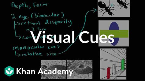 Visual Cues Processing The Environment Mcat Khan Academy Youtube