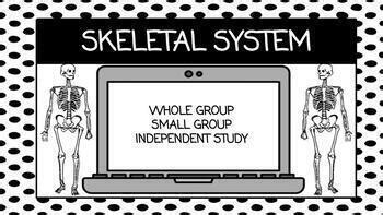 Skeletal System Bones And Joints Reading Comprehension Digital By Amy