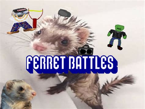 Ferret Battles by Ferret22