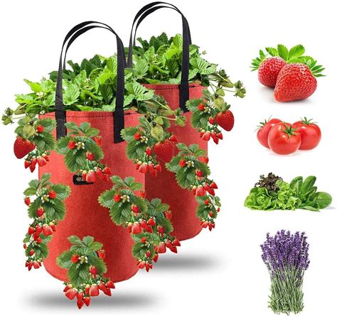 Ulikey Pcs Sac De Plantation Pour Fraise Sacs De Culture Fraises