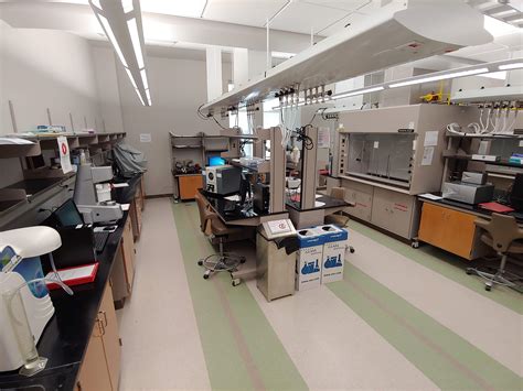 Biomedical Engineering Labs