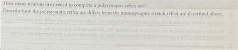 Solved Describe how the polysynaptic reflex arc differs from | Chegg.com