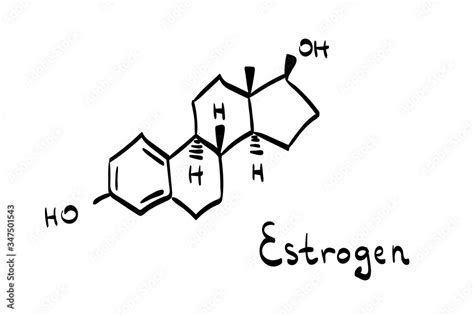 Doodle Vector Illustration Of Chemical Molecule Of Female Hormone Called Estrogen Hand Drawn