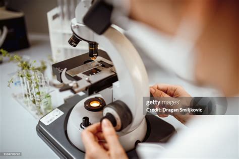 Real Scientist Researching In The Laboratory High Res Stock Photo