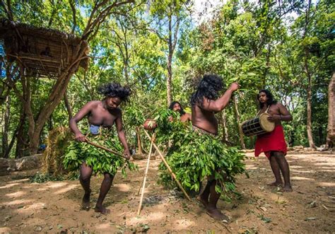 true lanka authentic sri lanka travel tours adventures camp life