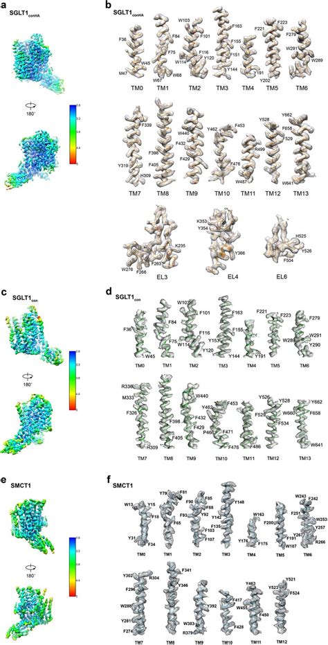 Cryo EM Densities And Refined Models A Local Resolution Of The Cryo EM