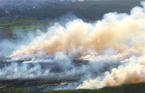 Kebakaran Hutan Di Gunung Guntur Garut Diidentifikasi