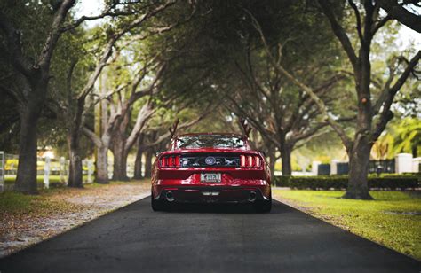 Fondos De Pantalla Naturaleza Veh Culo Vista Trasera Ford Mustang