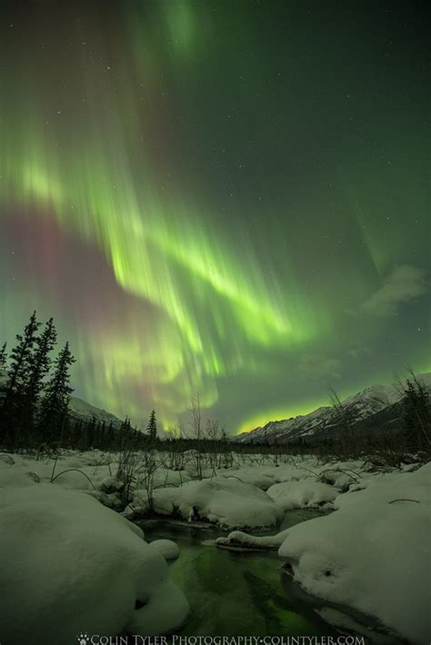 February 2023 Aurora Borealis, Eagle River Nature CenterNews & Recent PhotosColin Tyler Photography