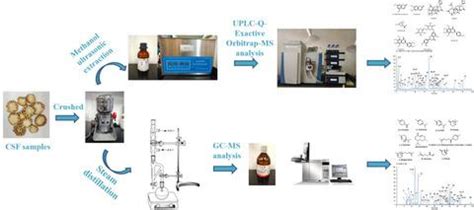 Qualitative And Quantitative Analyses Of Chemical Components Of Citri