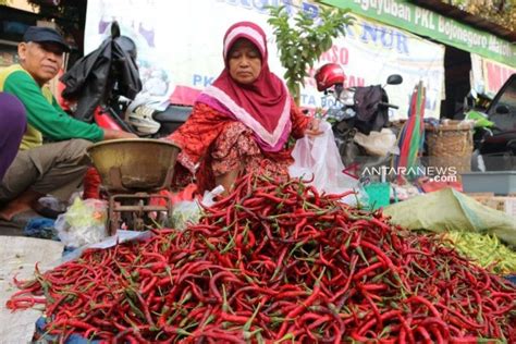 Harga Cabai Merah Sudah Turun Jadi Rp70 000 Per Kg ANTARA News Bengkulu