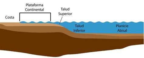 Plataforma Continental Qué Es Características Y Ejemplos
