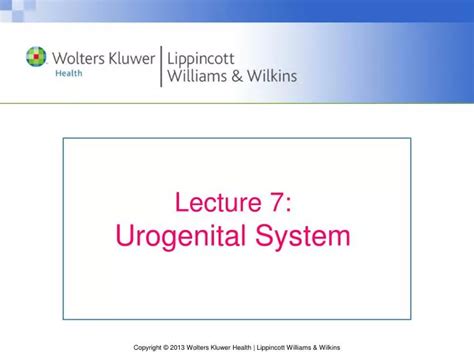 Ppt Lecture Urogenital System Powerpoint Presentation Free