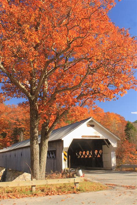 West River Covered Bridge Vermont Fall Foliage Photograph by John Burk ...