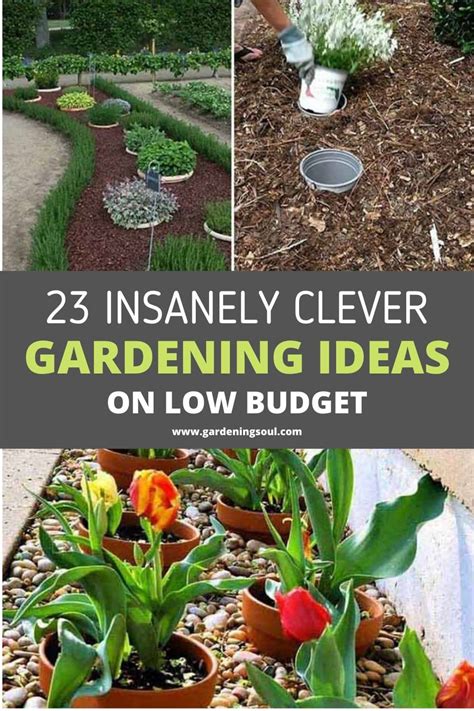 23 Insanely Clever Gardening Soul