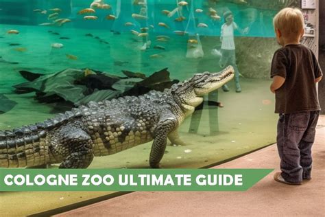 Cologne Zoo Guide (Review, Tickets, Opening Times)