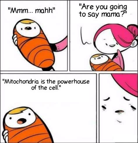 Mitochondria is the powerhouse of the cell - Meme by MEMEQUEEN179 ...