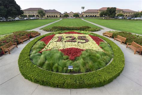 The Oval and Palm Drive - Stanford 125