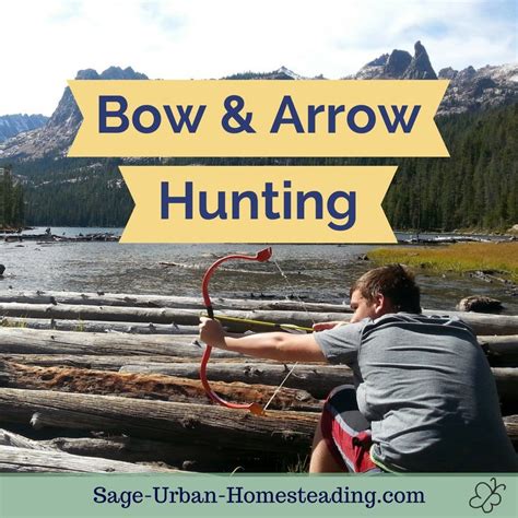 Bow And Arrow Hunting