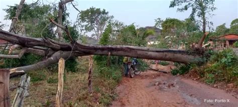 Temporal Derruba Rvores E Telhados E Assusta Moradores No Interior Do