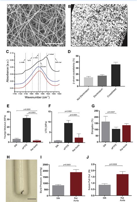 Figure From Rapid Endothelialization Of Off The Shelf Small Diameter