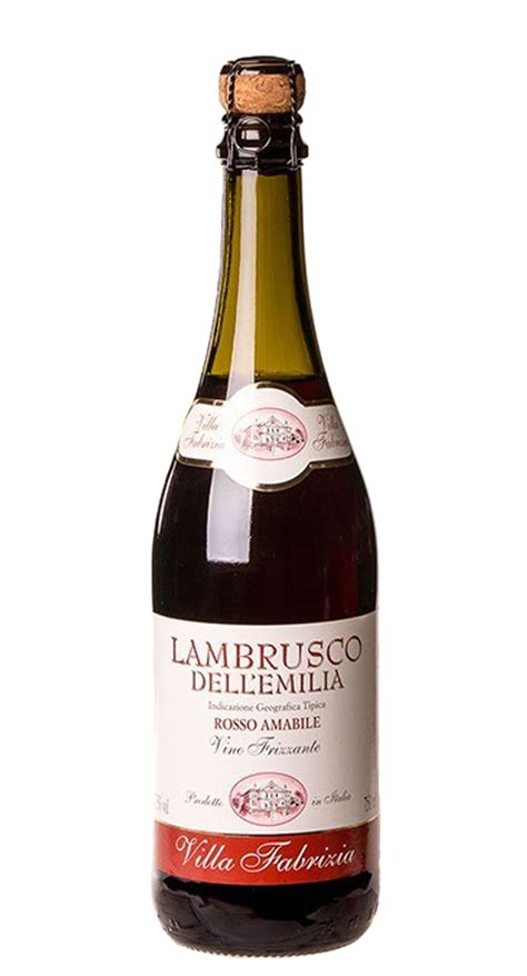 Lambrusco Villa Fabrizia Rosso 750ml Imigrantes Bebidas