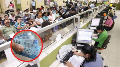 Ley De Tránsito Estos Son Los Precios De Las Licencias De Conducir En Honduras