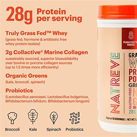 The 7 Best Natreve Protein Powder Of 2024 Verified Cherry Picks