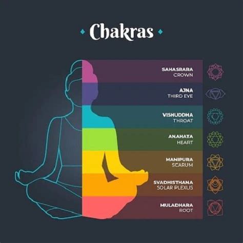 The Main 7 Chakras In Human Body Run Alongside The Spine That Starts At