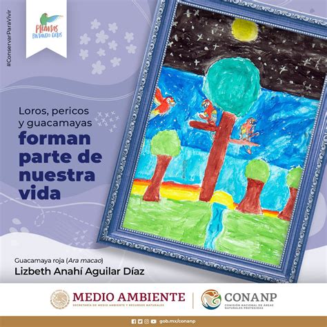 Conanp On Twitter Los Loros Pericos Y Guacamayas Est N En Peligro De