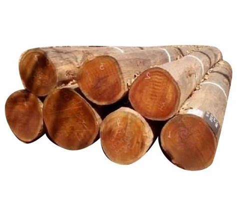 Brown Round Teak Wood Logs 3 At Rs 1200 Cubic Feet In Anjar ID