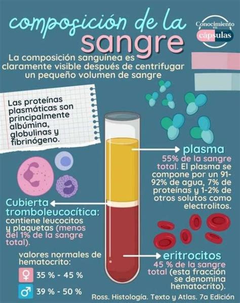 Composición de la Sangre YUDOC ORG uDocz