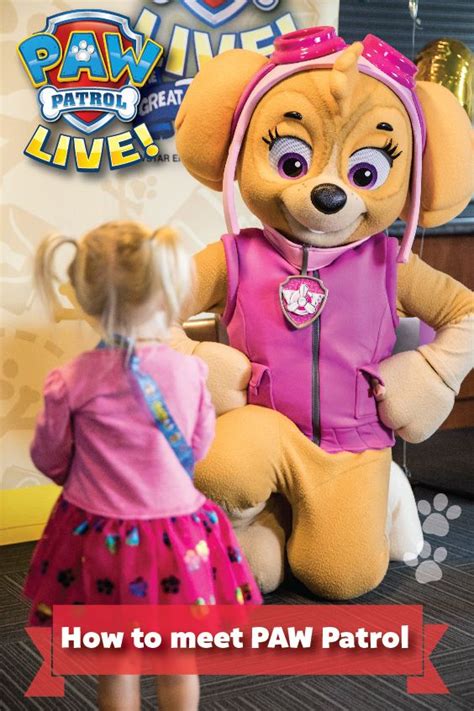 Paw Patrol Live Vip Package Tickets Info And More