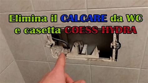 Eliminare Il Calcare Dal Water Pulire La Cassetta A Muro COESSHYDRA