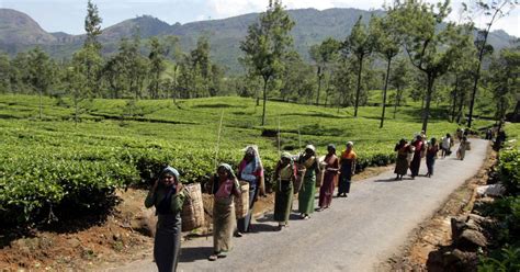 Ceylon | Foreign Affairs