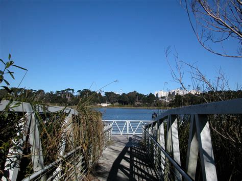 Lake Merced : San Francisco Neighborhoods