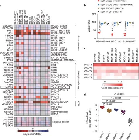 Chemical Screen Of Epigenetic Probes Identifies Type I Prmts As