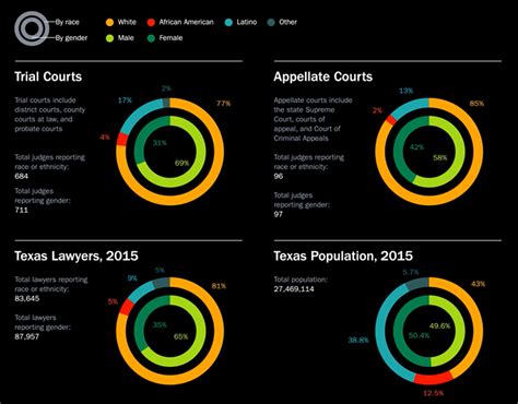 Texas Court System Infographic Animation on Behance