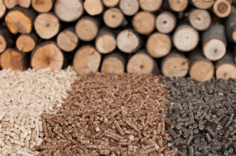 Types Of Biomass Fuel Thegreenage