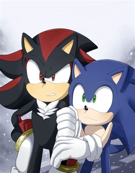 Sonadow Wiki Sonic The Hedgehog Amino