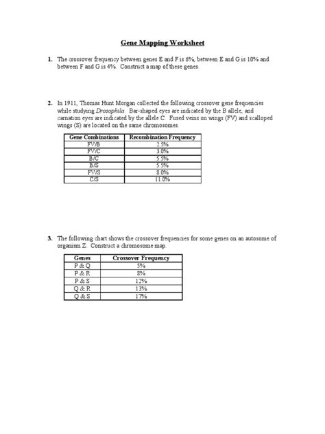 Gene Mapping Worksheet PDF Genetic Linkage Gene Worksheets Library