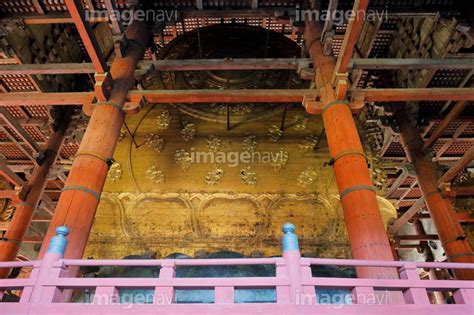 【大仏 盧舎那仏坐像 後から撮影 東大寺 大仏殿 金堂 世界文化遺産】の画像素材70309599 写真素材ならイメージナビ