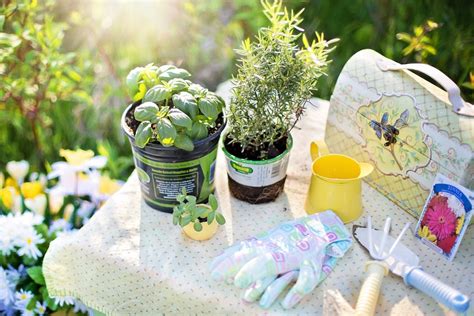 How Planting Herbs Compliments Sustainable Gardening