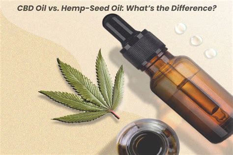 Cbd Oil Vs Hemp Seed Oil What’s The Difference 2021