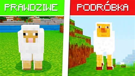 Zagra Em W Najgorsze Podr Bki Minecrafta Youtube