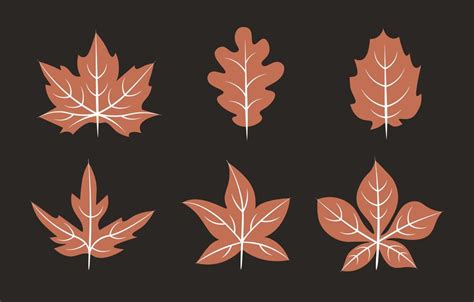 Premium Vector | Set of vector brown leaves with white details