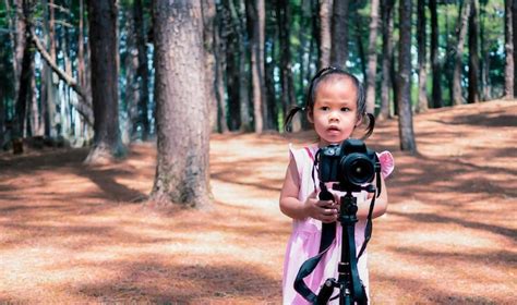 Premium Photo Portrait Of Cute Boy Photographing Through Tree Trunk